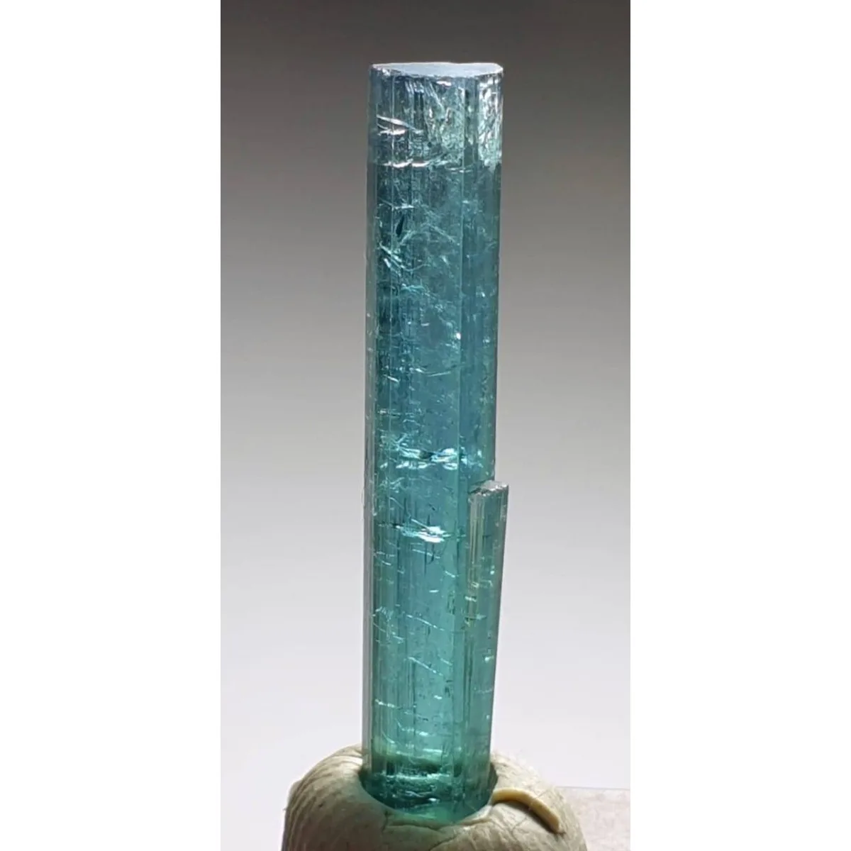 Brazilian Elbaite Rough Crystal Assortment, 10g 5-15mm Random Colors, Display Box for Desk Decor & Natural Stone Collection