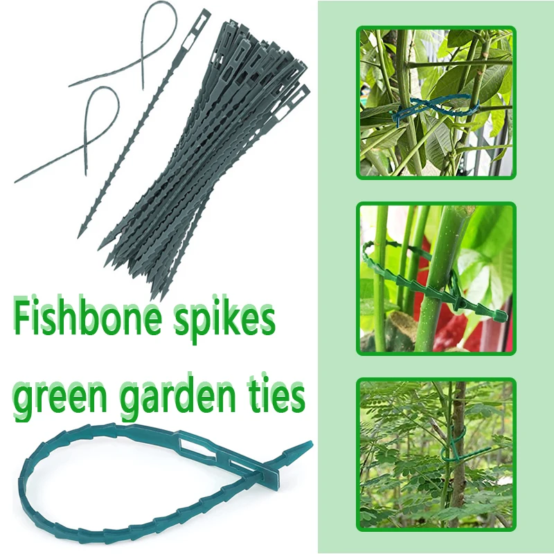 

Fishbone Nail Garden Ties Adjustable Plant Ties Garden Fishbone Ties Flexible Plant Cable Ties Plastic Garden Ties Plant Fix Tie