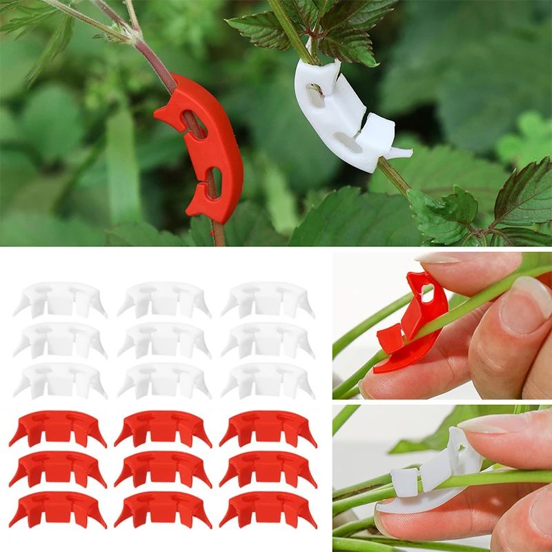 Vegetables Tomato Fixing Clips Reuseabl to Prevent Bending Support Clamp Fruit Flower Green Plant Seedling Reinforcement Clips