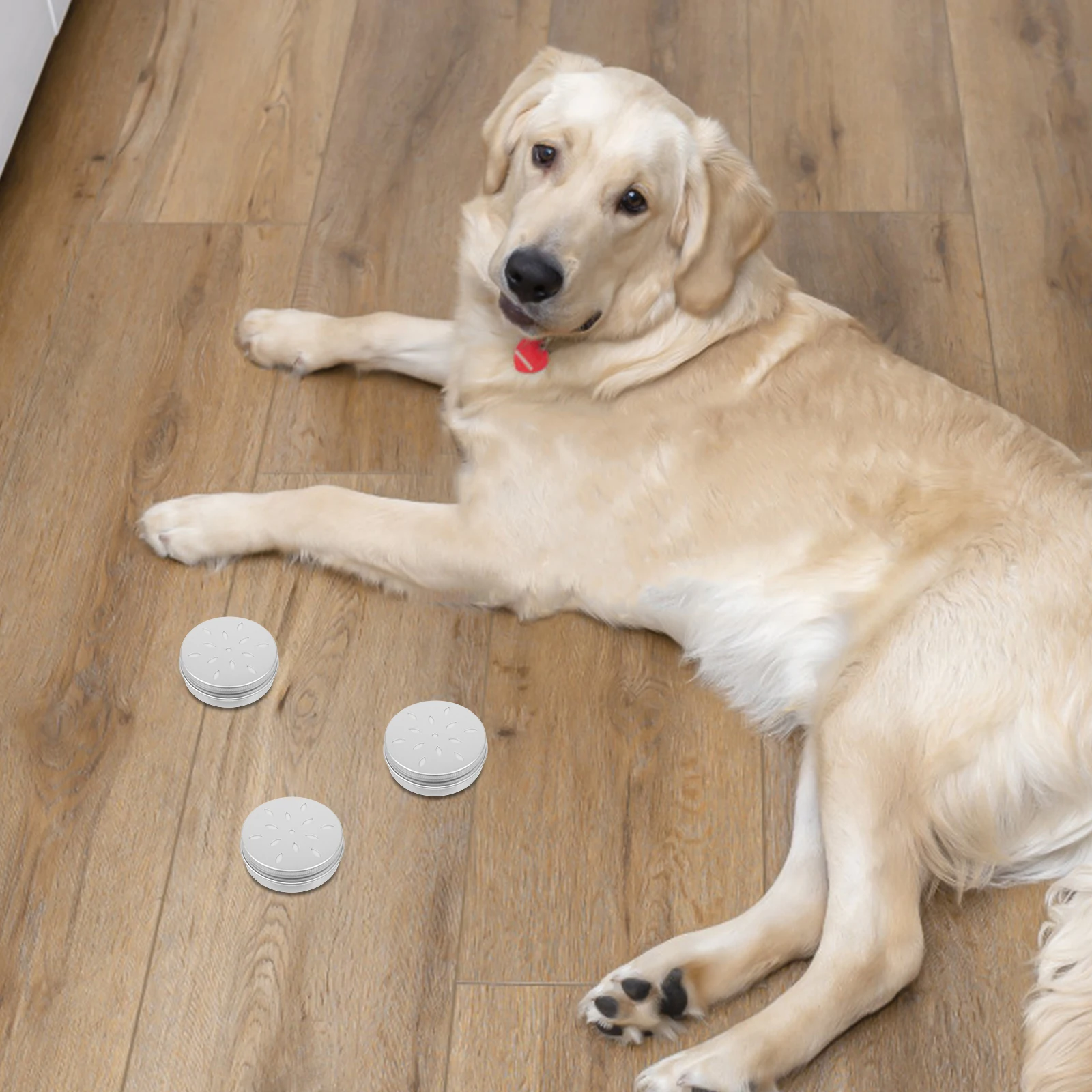 

10Pcs Dog Scent Training Holder Metal Container Snuffle Box for Dog Nose Training Odor Tool Metal Tins with Lids