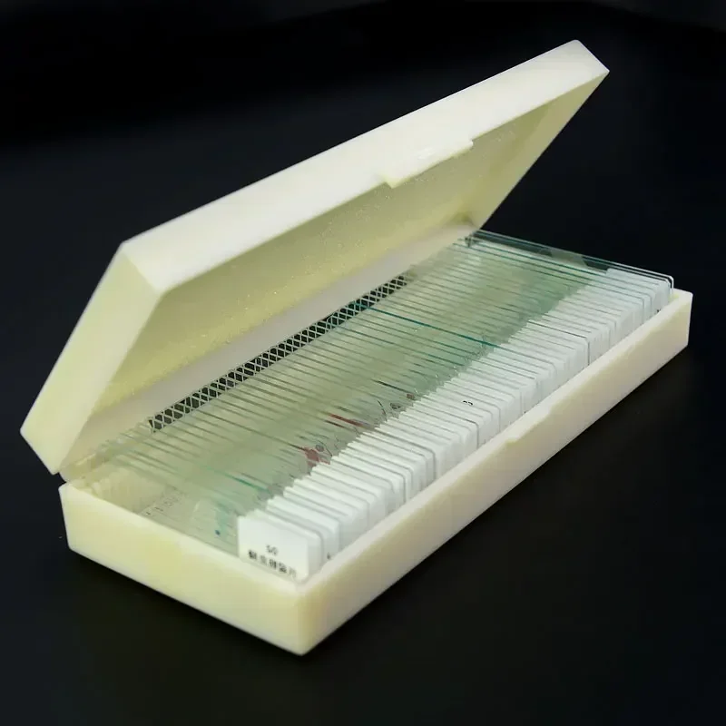 

50PCS Human Tissue Sections Microscope Slides Histology Prepared Specimen with Plastic Box Microscopio Accesorio Telescopio