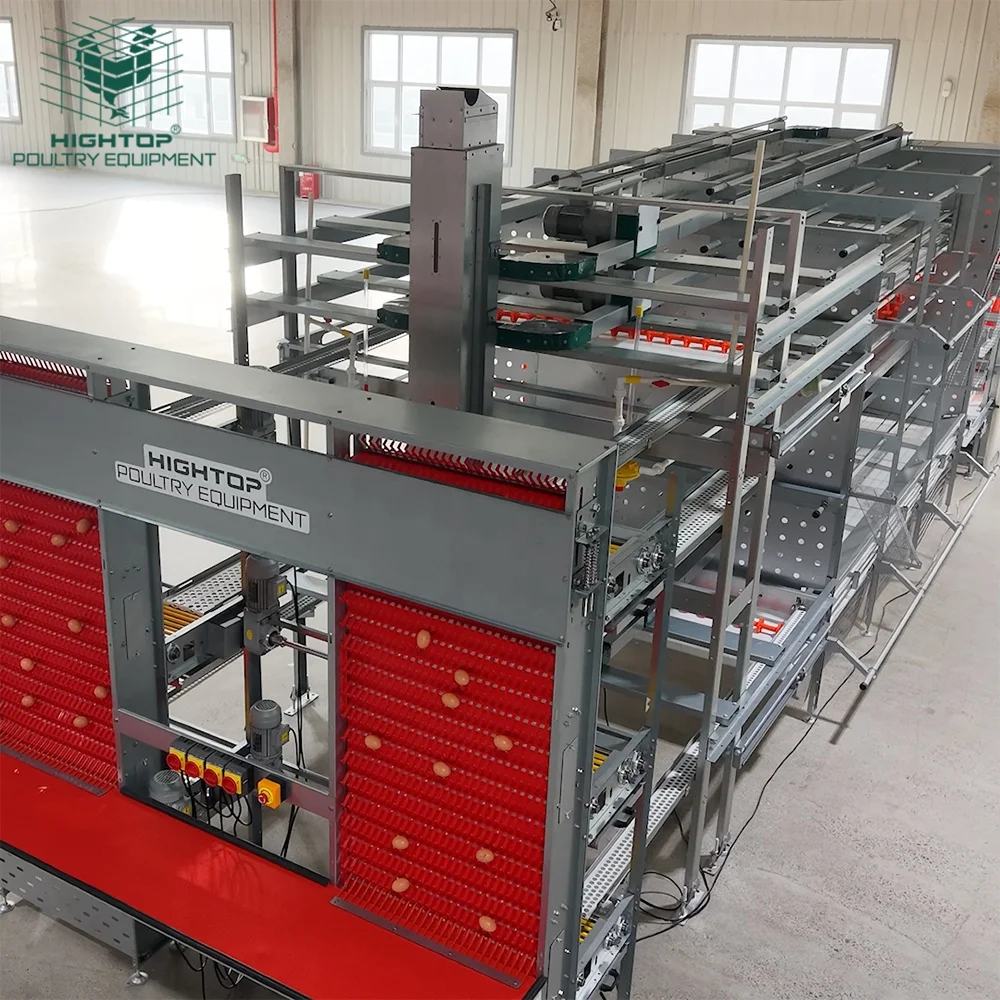 

Новая конструкция клеточных систем для коммерческого содержания несушек: клетки-гнезда, клетки безограниченного свободного передвижения, вольеры для несушек