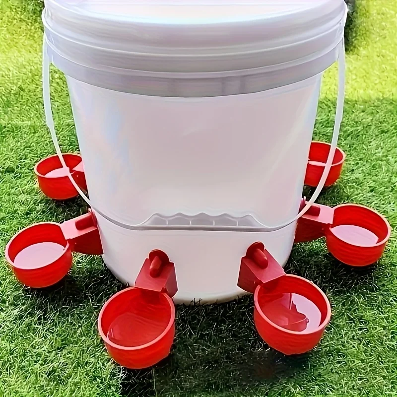 5-piece poultry waterer/drinking bowl - self-filling, non-electric waterer for ducks, geese, and turkeys, accessories only.