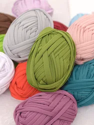 Tissu en Crochet pour T-Shirt, 100 g/boule, 21 mètres de fil de coton, fattuccini Zpagetti, couture, tricot, Art, panier, sac, bricolage