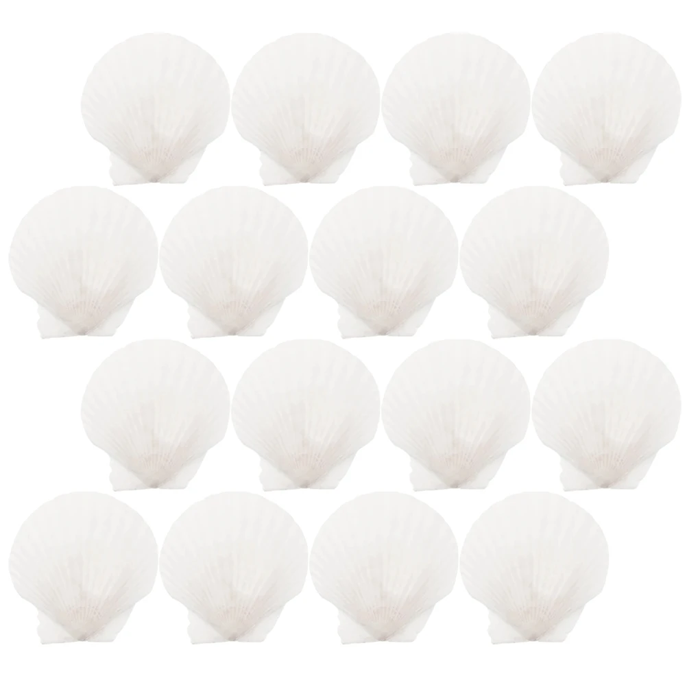 

16pcs Conch Shell Natural Large Shells Multi-function Crafts DIY Seashell Ornament Fish Tank Aquarium Party Restaurant Desktop