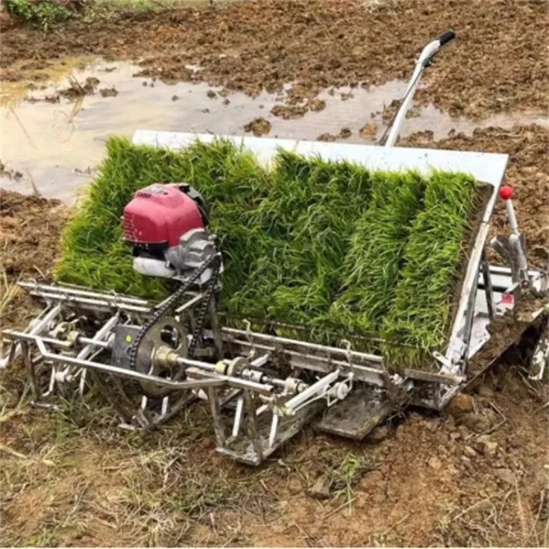 

【Hot】Multifunctional Rice Transplanting Machine Automatic Seeder & Transplanter with Paddy Planter for Planting Rice Seedlings