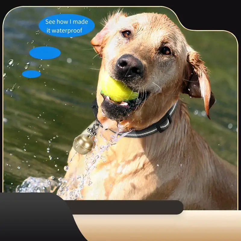 

2G ошейник для слежения за собаками, локатор для слежения за собаками, GPS-локатор с картой Google, отслеживание в реальном времени для домашних животных, GPS-локатор, пластик, серебристый