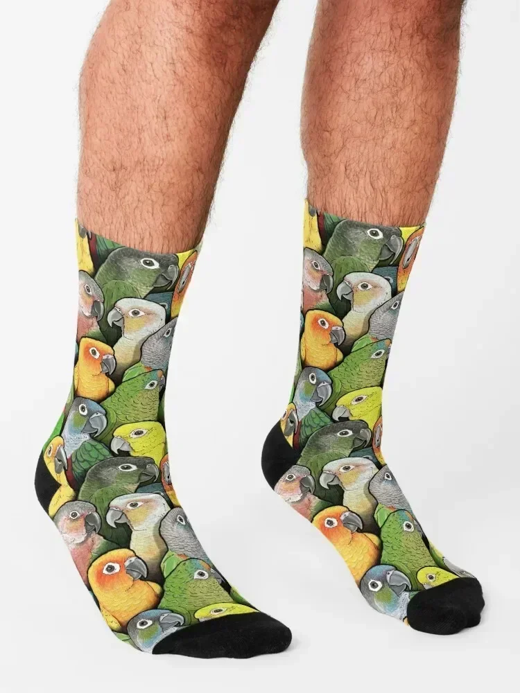 Colour of Conures Socks floral Antiskid soccer cycling sport Luxury Woman Socks Men's