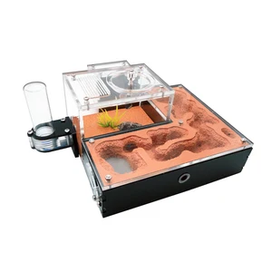 mini's nest'in en çok satan 7 ürünü, karınca, no. 6