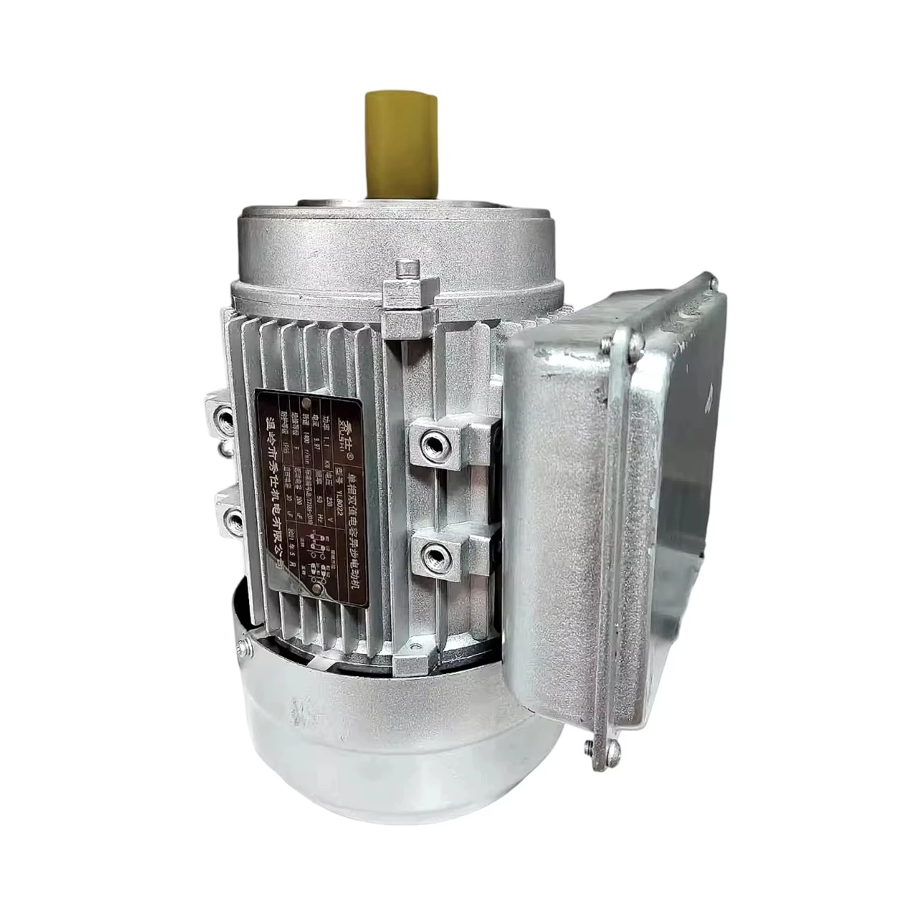 

YL8024 High Quality 0.75KW 1HP 220V AC Single Phase Asynchronous Motor with Dual Capacitor