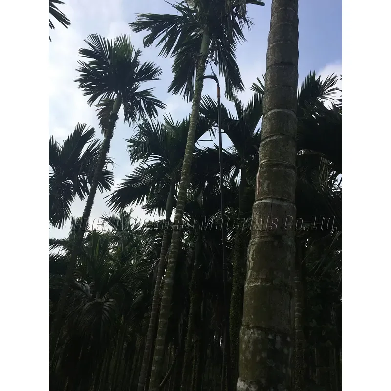 Long reach carbon pole with picking tools for betel nut/Carbon Fiber telescoping rods/carbon Fiber Fruit Harvesting