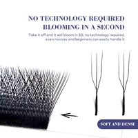 DeceMars U-Shaped 3D Eyelash Extensions (12lines/Tray) 6