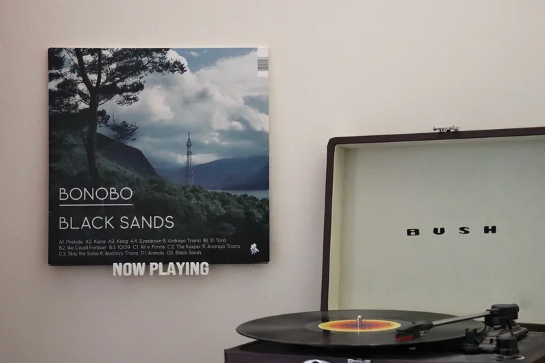 Now Playing Wall Mounted Vinyl Record Shelf Hanging Vinyl Lp Holder Album Display Wall Decor Cd Stand Apartment Friendly