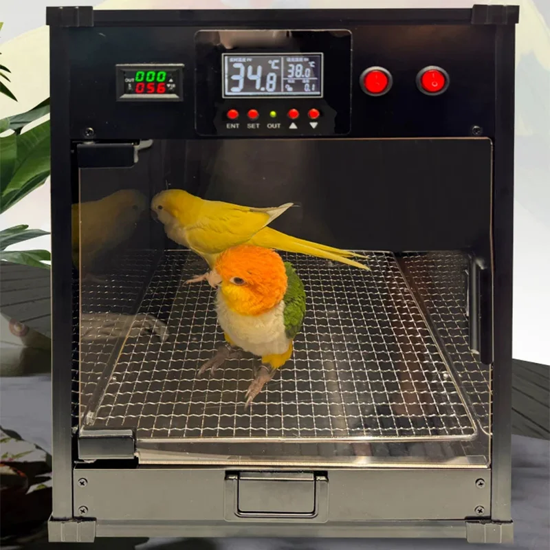 Intelligent Constant Temperature Bird Incubator Parrot Brooder Box Digital Temperature Control Pet Chick Rearing Cage