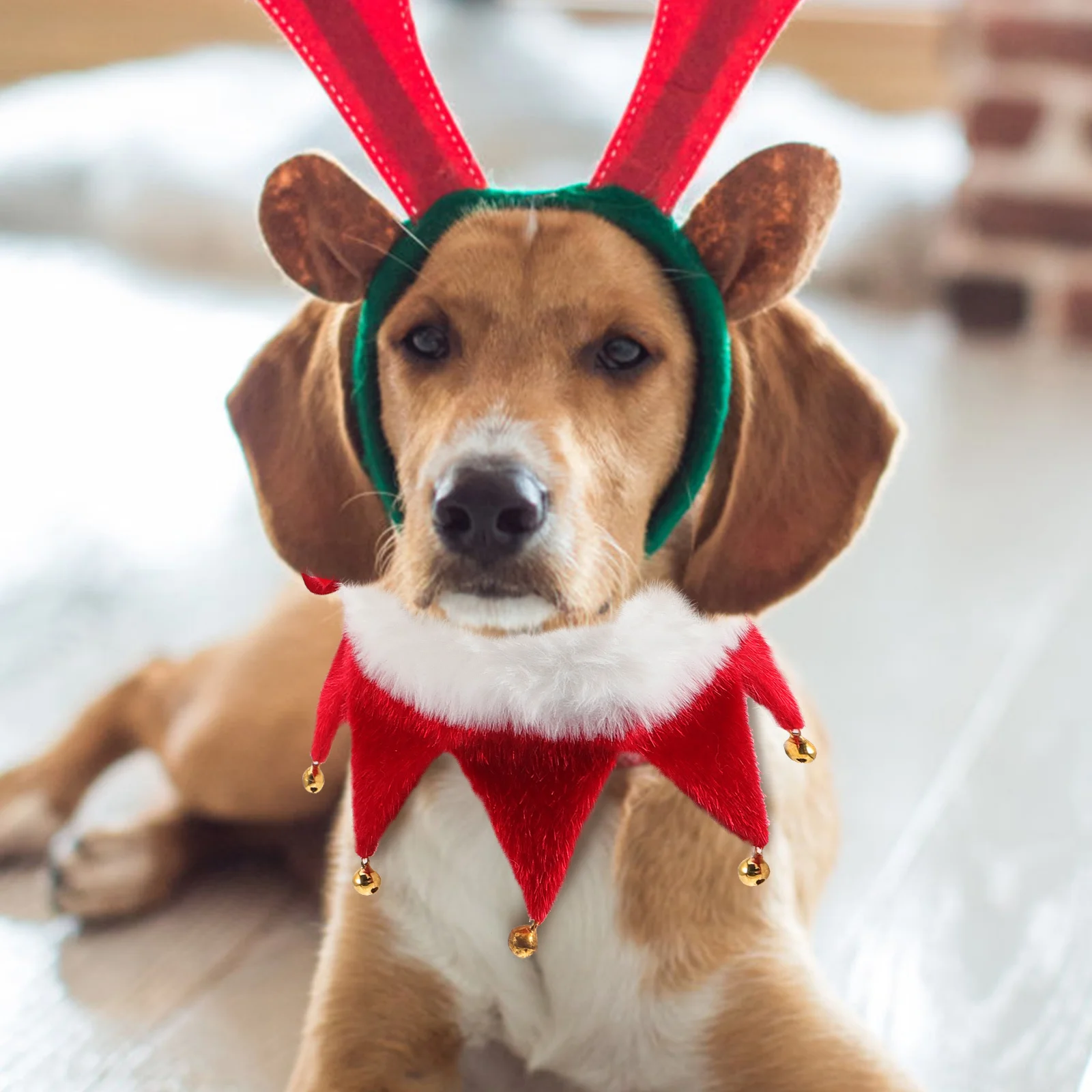 Dog Holiday Accessories Bell for Cat Collar Costume Accessory Pet Cat/dog Collars