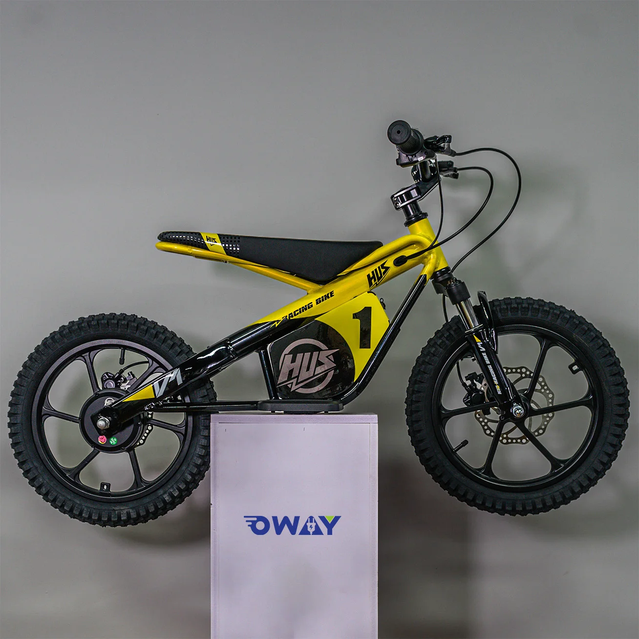 

Children Sports BMX Competition Offroad Racing Bike Electric Bike Motorbike 650W Motor Electric Dirt EBike Kid's Electric Bike