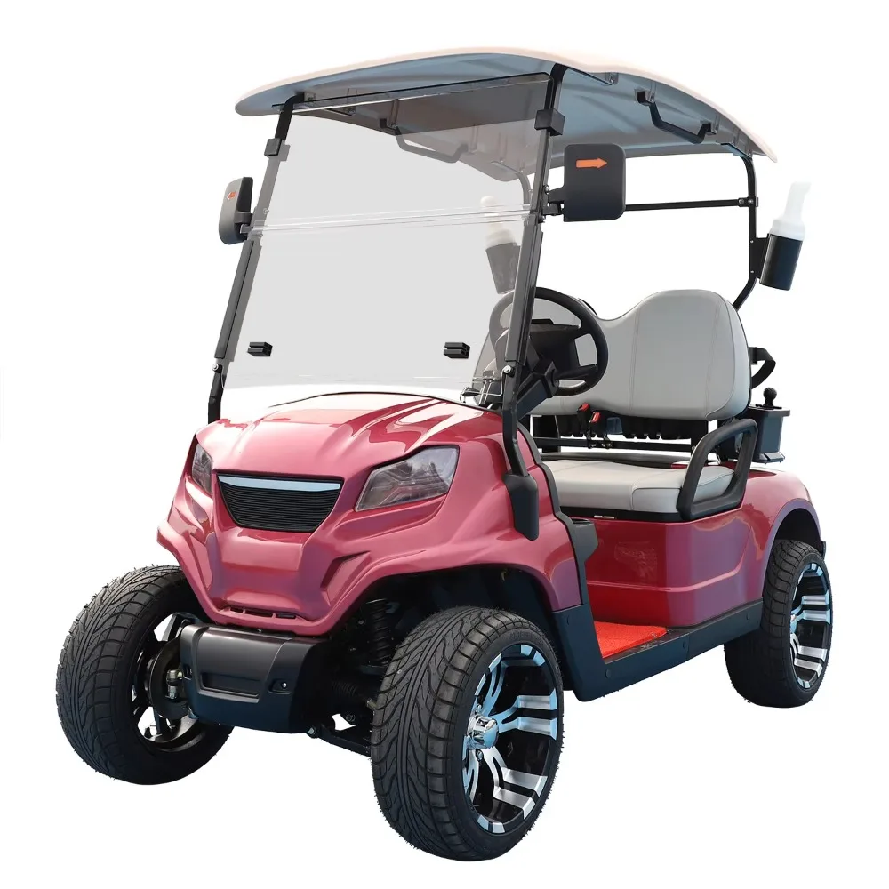 Golf Cart,Lithium Battery Electric Two-seater, Large Screen Control Multifunctional Cart, Suitable for Golf Cart on Golf Course