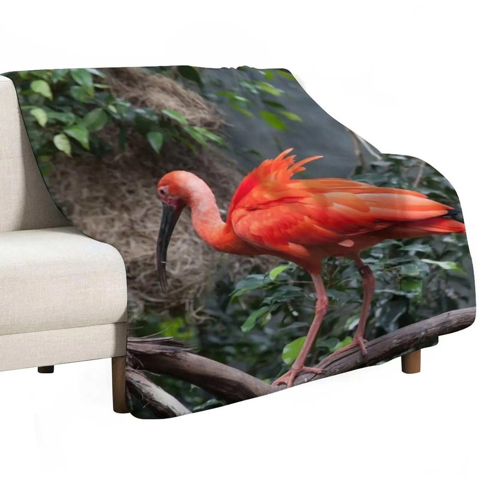 Scarlet Ibis perched on a vine Throw Blanket Luxury Throw Decorative Throw Sofas Beautifuls Flannel Fabric Hairys Blankets