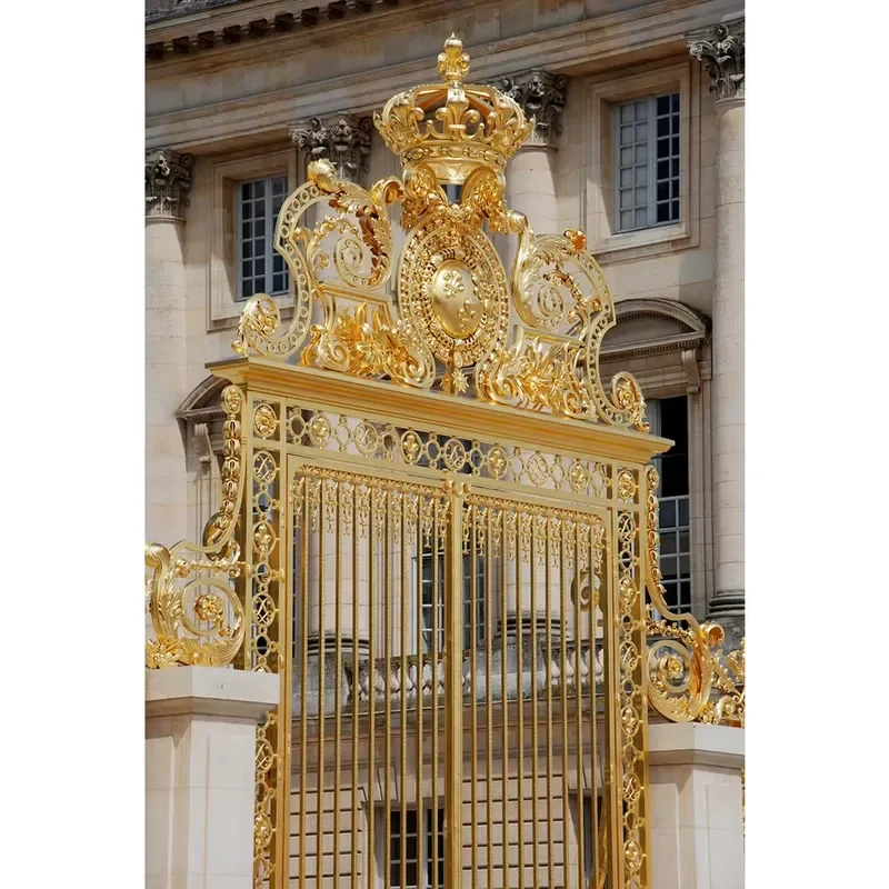 Professional Customized Solid Aluminum Double Automatic Swing Gates Fences Residential Villa Use Durable Powder Coated Modern
