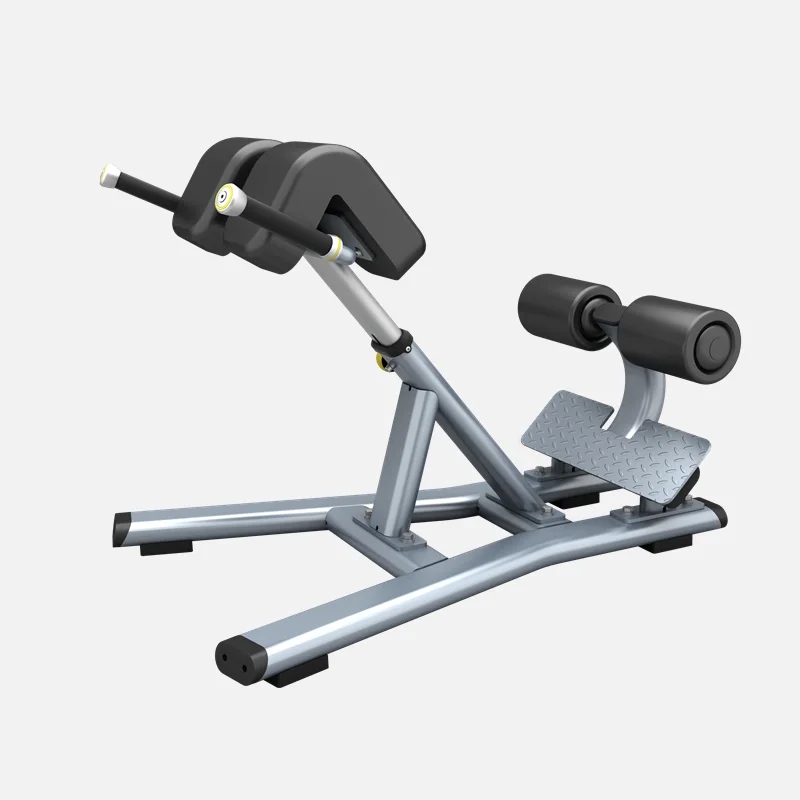 MND-FF45 Roman Chair Bench Machine Commercial Gym Equipment  Free Weight Training Machine Dezhou City