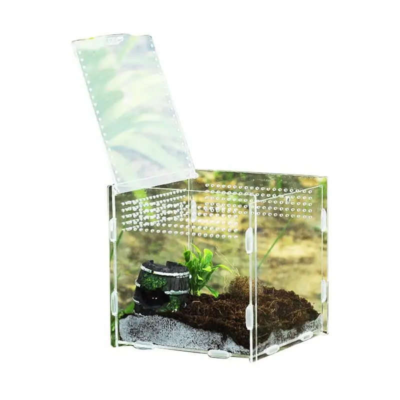 Reptile Feeding Box Climbing Pet Breeding Box Portable Natural Terrarium Kit Feeding Tarantula Habitat Boxes For Reptiles And