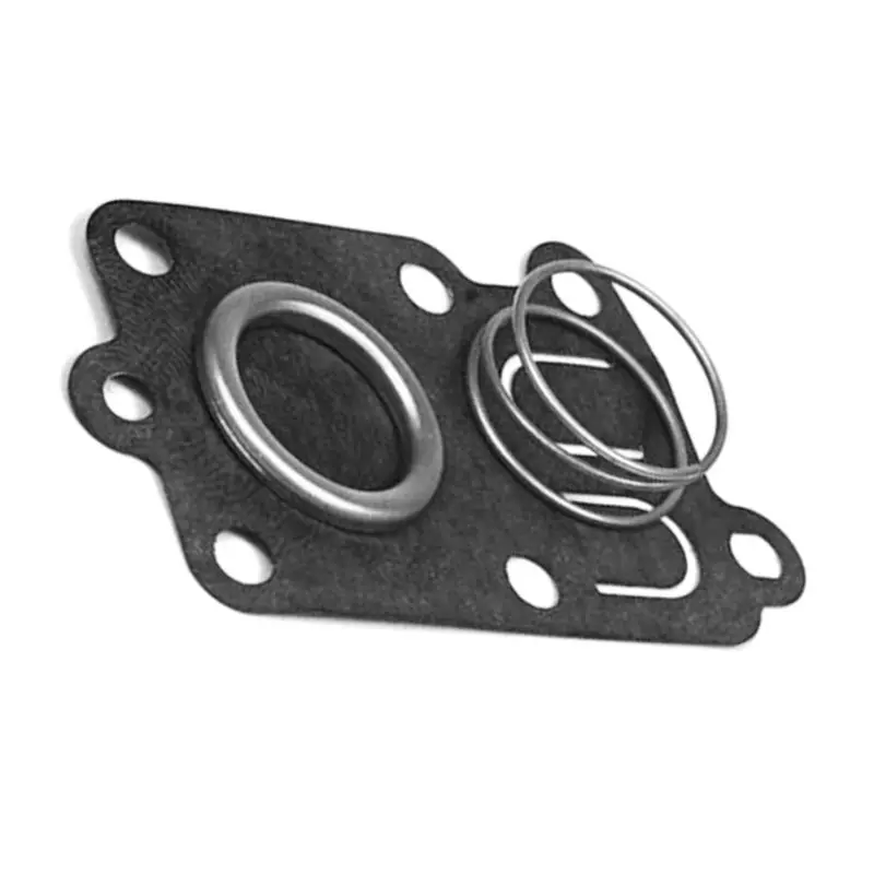Zestaw membrany gaźnika dla Briggs & Stratton 270026 272538 272538S 272637