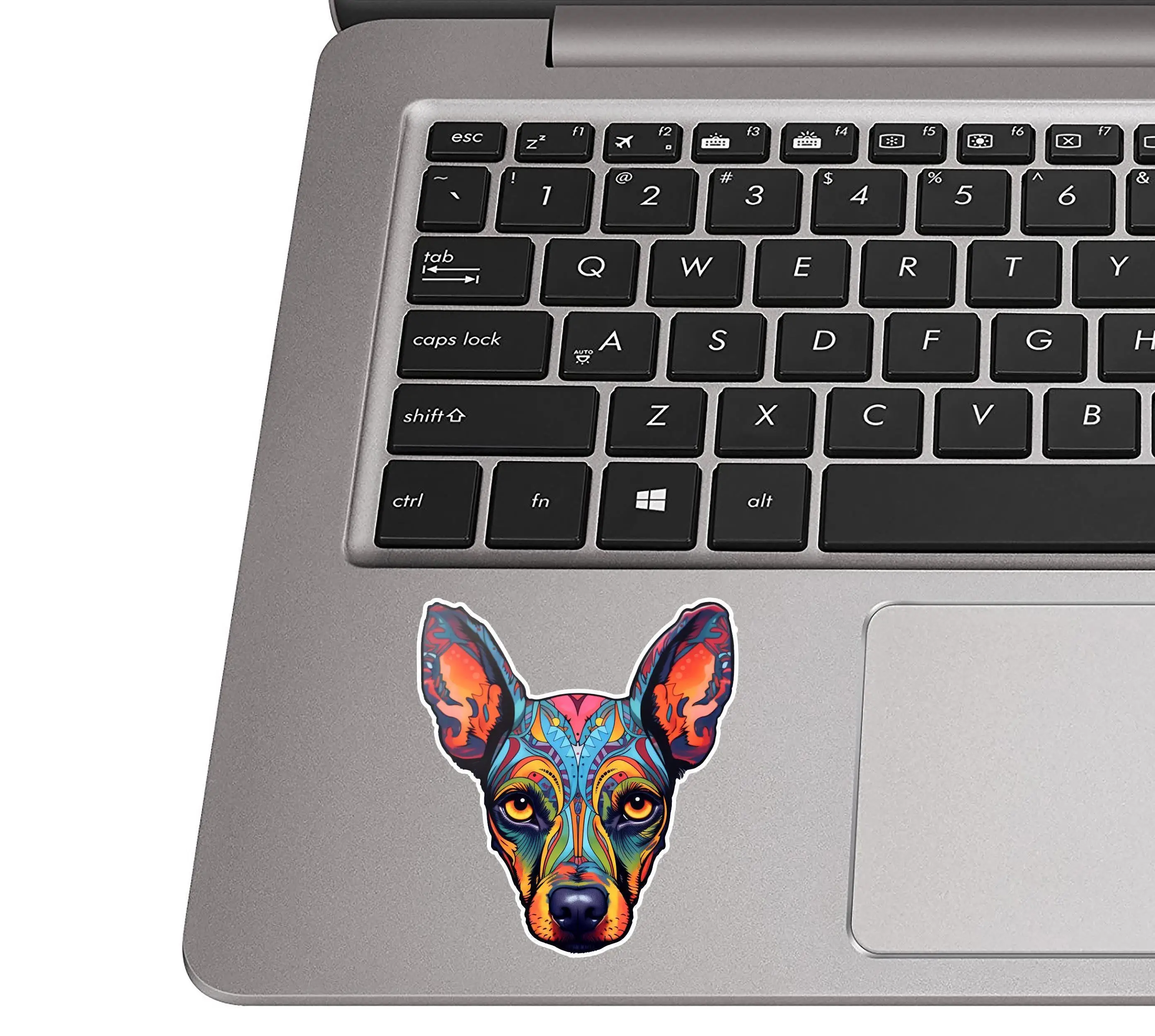 Doberman Pinscher Colorful Sugar Skull Vinyl Car Sticker Waterproof Durable Decal for Car Window and Water Bottle