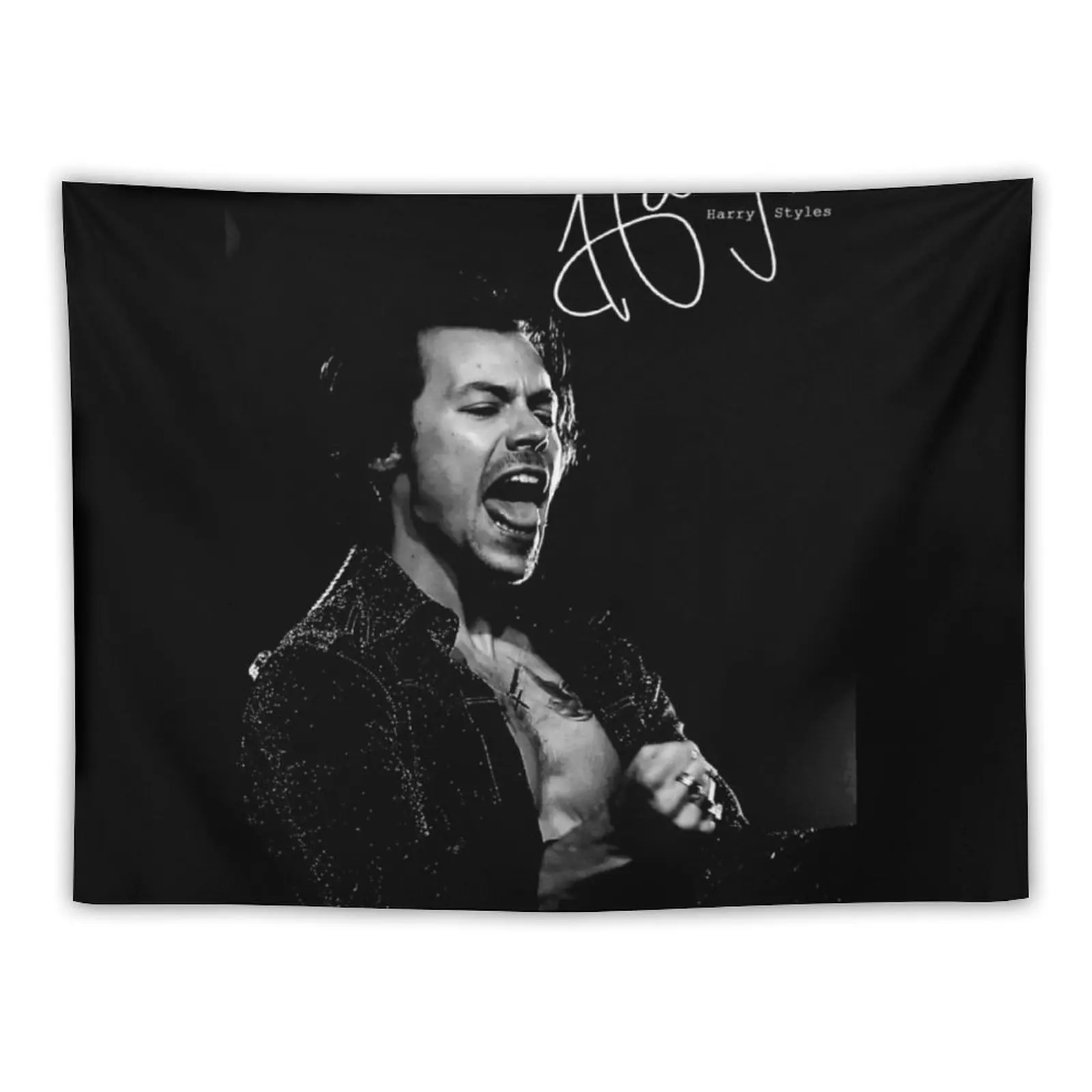 

harry and signature Tapestry Living Room Decoration Wall Carpet Aesthetic Room Decoration Tapestry