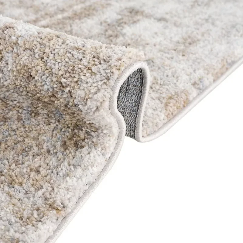 Modern Area Rug for Living Room Bedroom, Soft Plush Carpet, Vintage Style Floor Mat, Non-Slip Home Decor, Neutral Brown