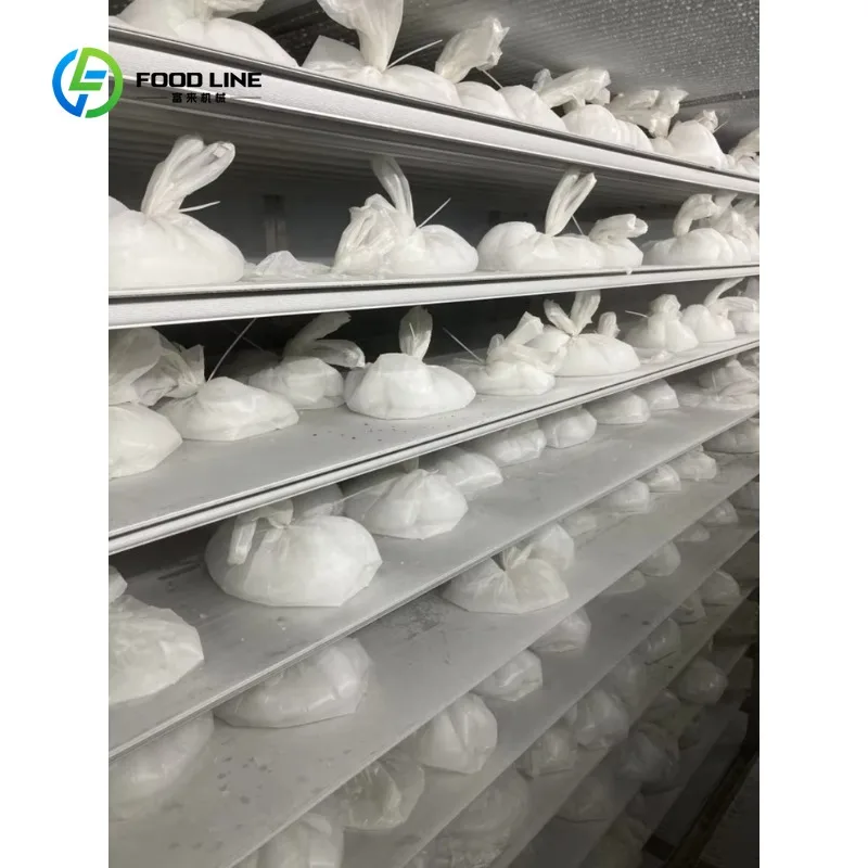 Customized 20ft 40ft Containerized Individual Cold Room Freezer Storage Quick Plate Blast Freezer for Fish Meat