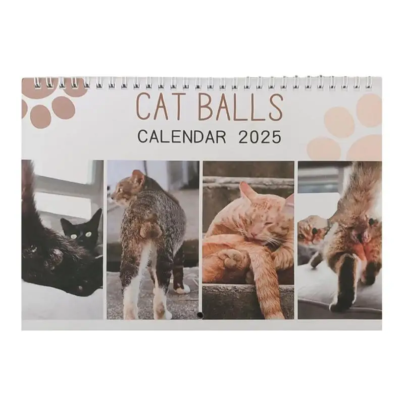 engracado pendurado calendario de papel com bolas de gato mordaca mensal calendario brincadeira para casa sala de estar decoracao do quarto presente de ano novo 2025 01