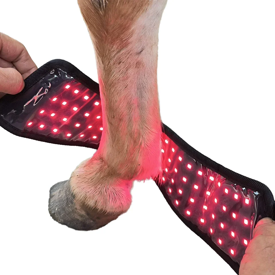 Anredar Equine red light wrap for horses animal pet red light horse pad for Joint pain and Wounds and scars