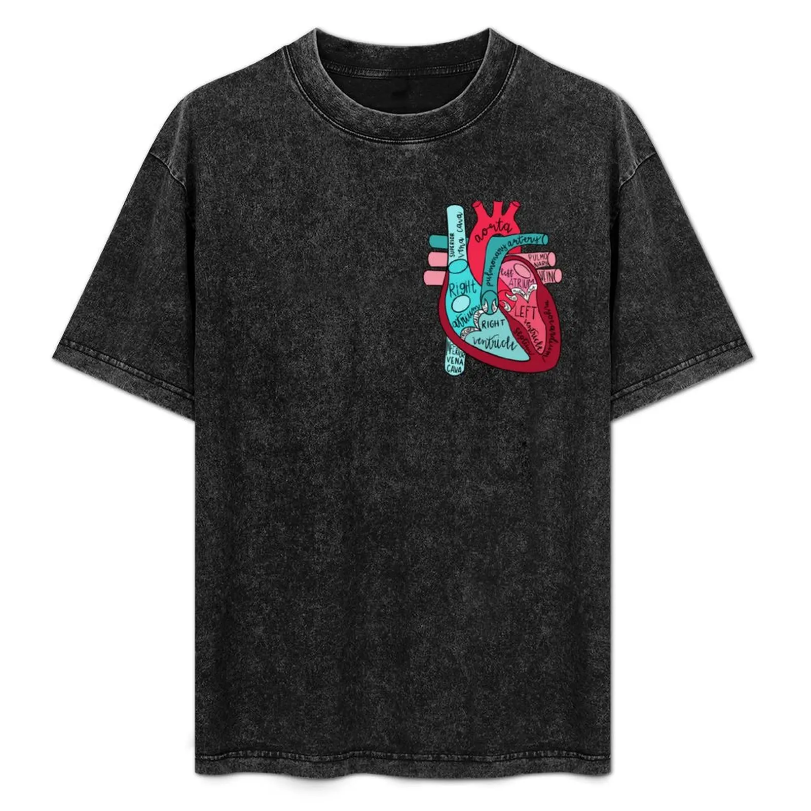 

Labeled Anatomical Heart T-Shirt Soft Basic Cotton Short Sleeve Tee