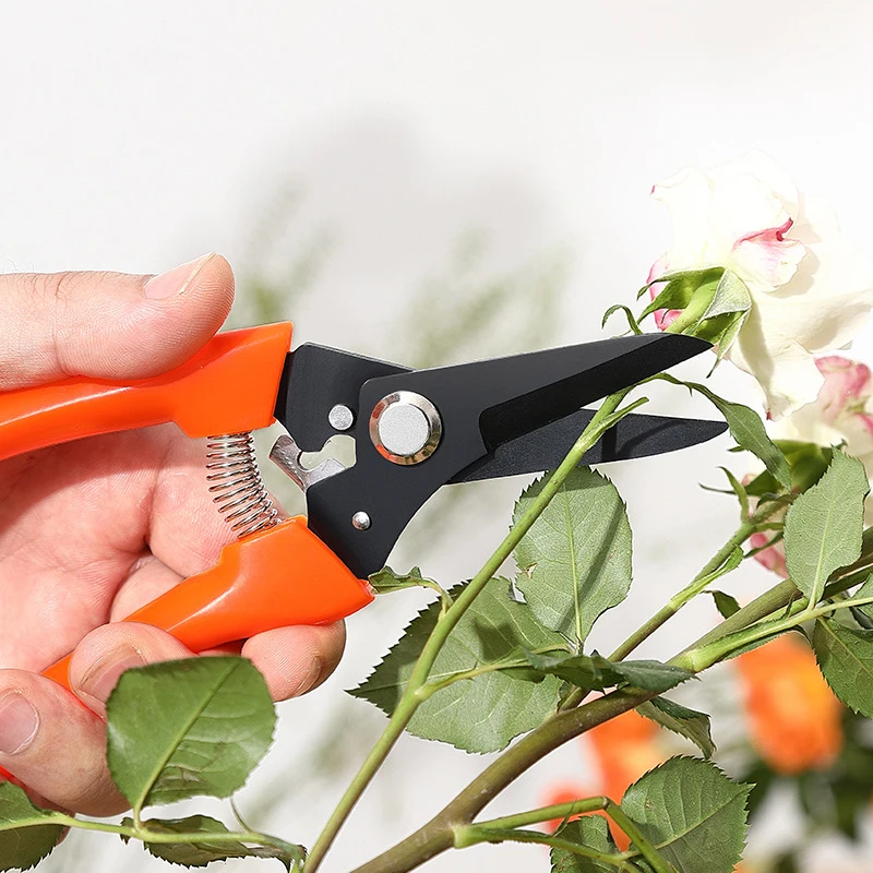 Garden Pruner Shears Bonsai Gardening Stainless Steel Gardening Scissors Curved And Straight Nose Scissors For Garden Tools