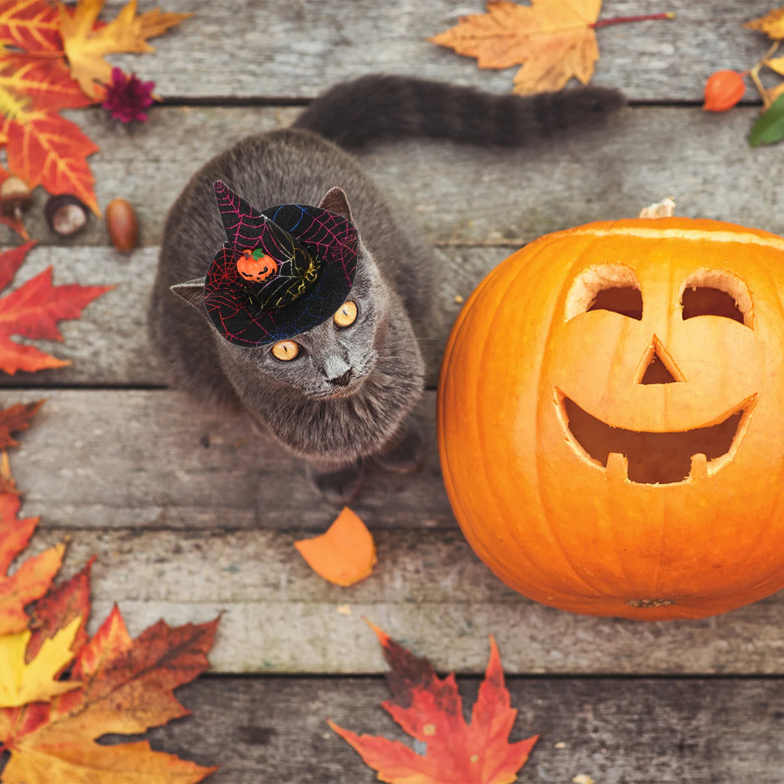 

1Set Halloween Hat Adjustable Bow Tie Party Costume Photography Prop Pet Supplies Adjustable Collar Hat