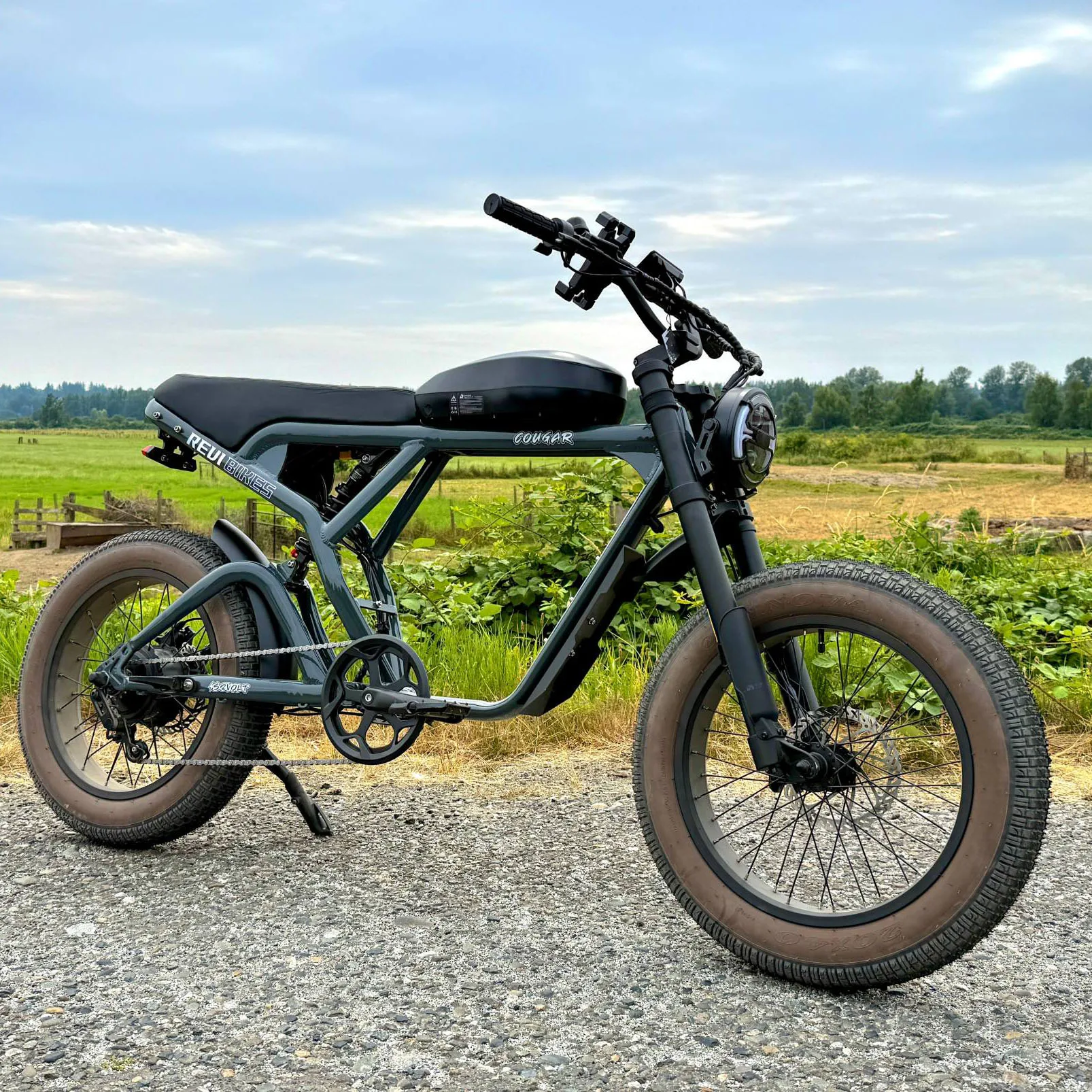 OEM Super Electric Mountain Bike 1000W 20-inch Fat Road Dual Seat Single Speed Sport Lithium Battery Electric Bicycle
