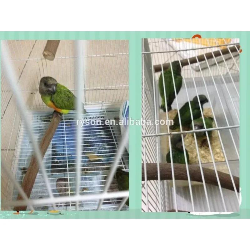 Durle Hot Selling C-HONG RING Air Pneumatic C-760A for Pet Cage Animal Cage Accessories