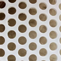 8mm-10mm thickness White PP PE PVC wear-resistant slot round hole perforated plastic sheet with holes customized For Filters