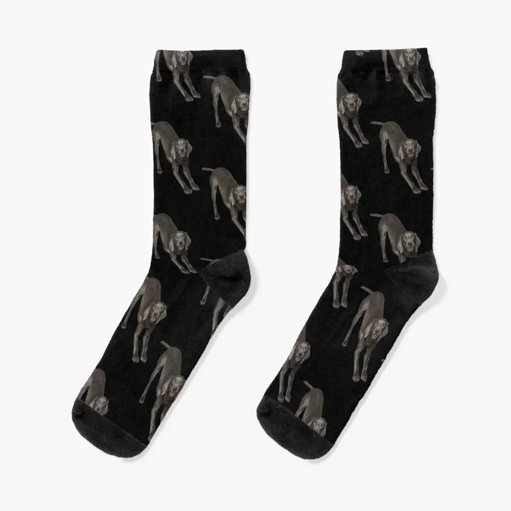 

Weimaraner bow Socks hockey luxury tennis Girl'S Socks Men's