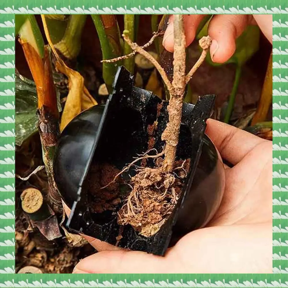 

ONCE 10Pcs Reusable Plant Rooting Equipment Kit Cutting Grafting Rooting Box Branch Rooting Propagator Breeding Ball