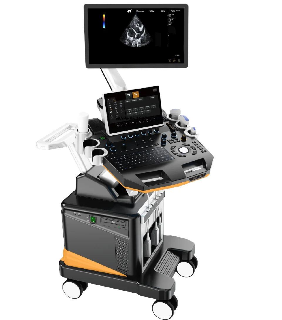 4D color Doppler ultrasonic trolley veterinary system for pigs, sheep, horses and cattle