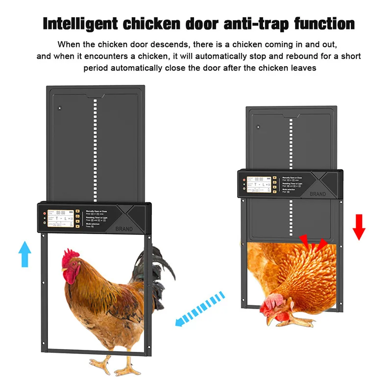 Porta automatica per polli Timer intelligente per pollaio Rilevamento della luce Telecomando Sollevamento antiscivolo Protezione nemica naturale Agricoltura di pollame