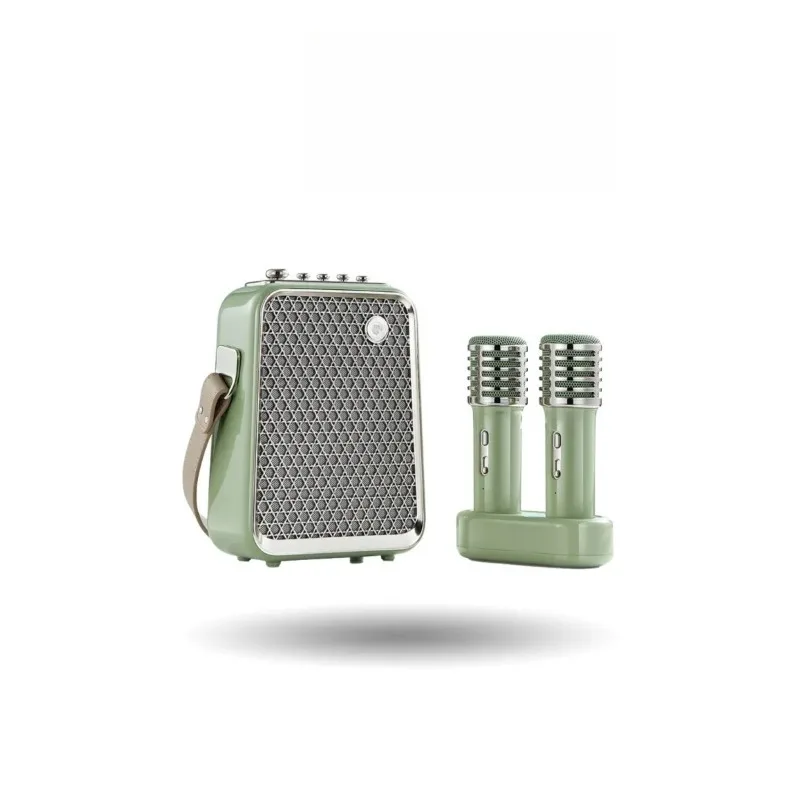 

Audio, portable outdoor karaoke wireless dual microphone microphone
