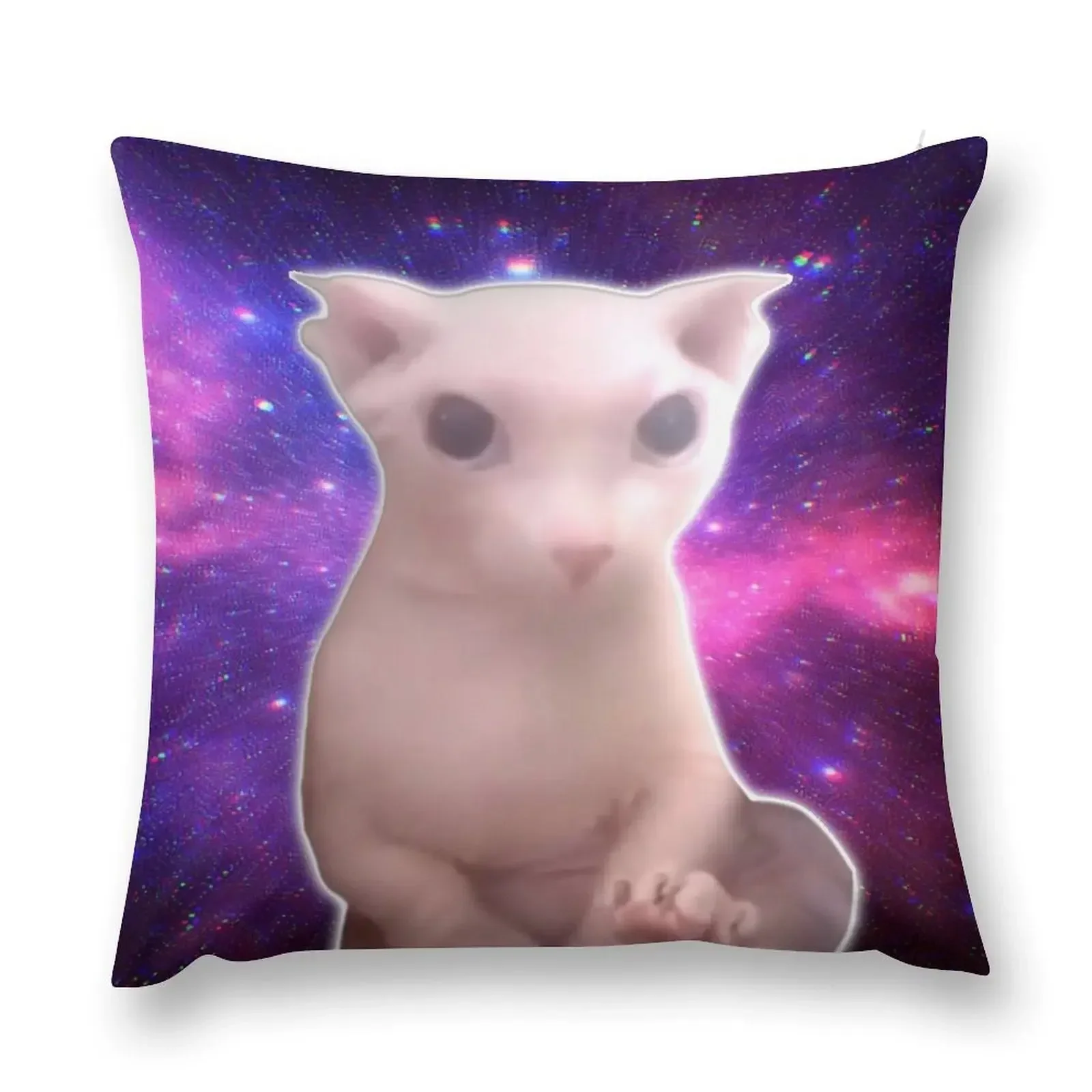 bingus in space Throw Pillow Sofa Cover Sofa Cushion Cover Pillowcases Cushion Covers Sofa pillow