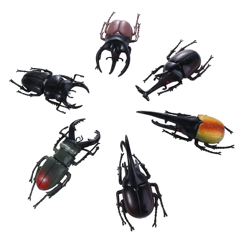 Teaching Aids Simulation Animals Kids Joke Toys Insect Toy Beetle Toys Insect Model Special Lifelike Model Simulation Beetle