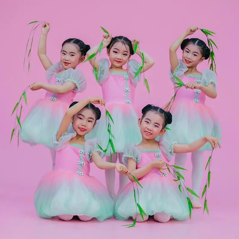 Children's Day Dance Costume Fluffy Gauze Skirt Performance Costume Children's Princess Style Choir Stage Performance Dress