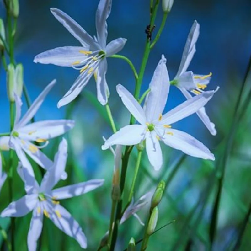 Металлическая лебедка переднего и заднего бампера для TRXS TRX4M Defender 1/18 RC Crawler, детали для обновления автомобиля, аксессуары