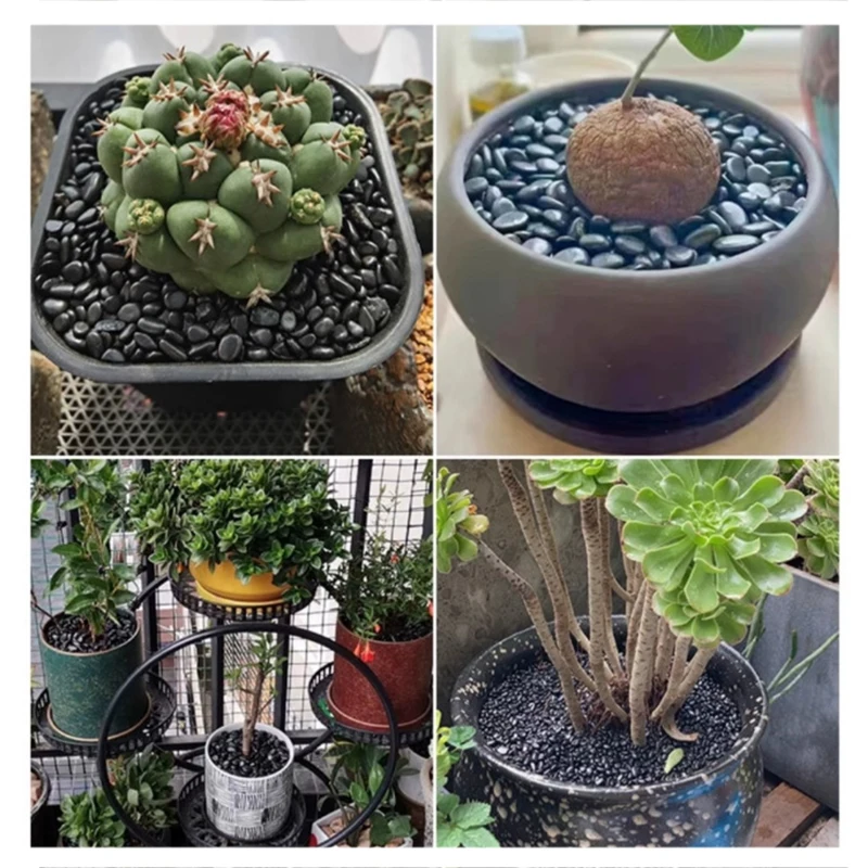 200 ~ 400 جرام الحصى 2-3 سنتيمتر الطبيعية عالية مصقول بوعاء خزان الأسماك حجر الزخرفية حديقة المناظر الطبيعية الديكور حصوه TMZ