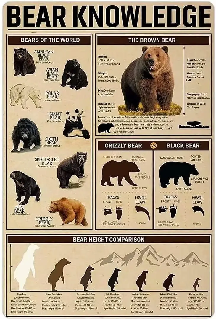 Plaques en métal décoratives « Bears Of The World » pour la maison, la chambre, le bureau, la salle de bain, le salon, le café, la cuisine, décoration murale