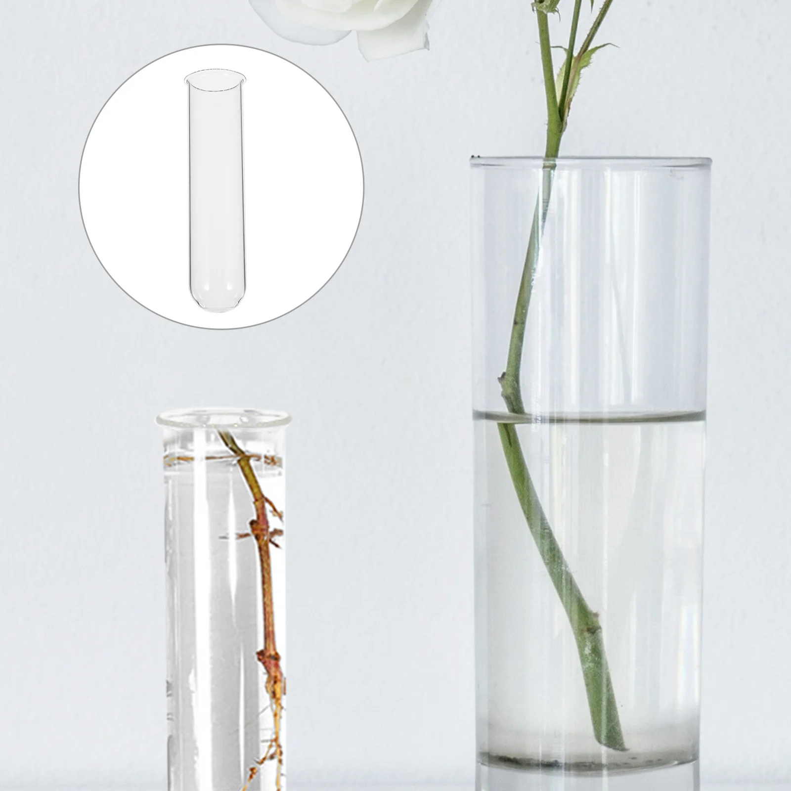 

4Pcs Glass Test Tube Vase Hydroponic Propagation Tubes Transparent Plant Display Floral Water Tubes Test Tube Vases for Flowers